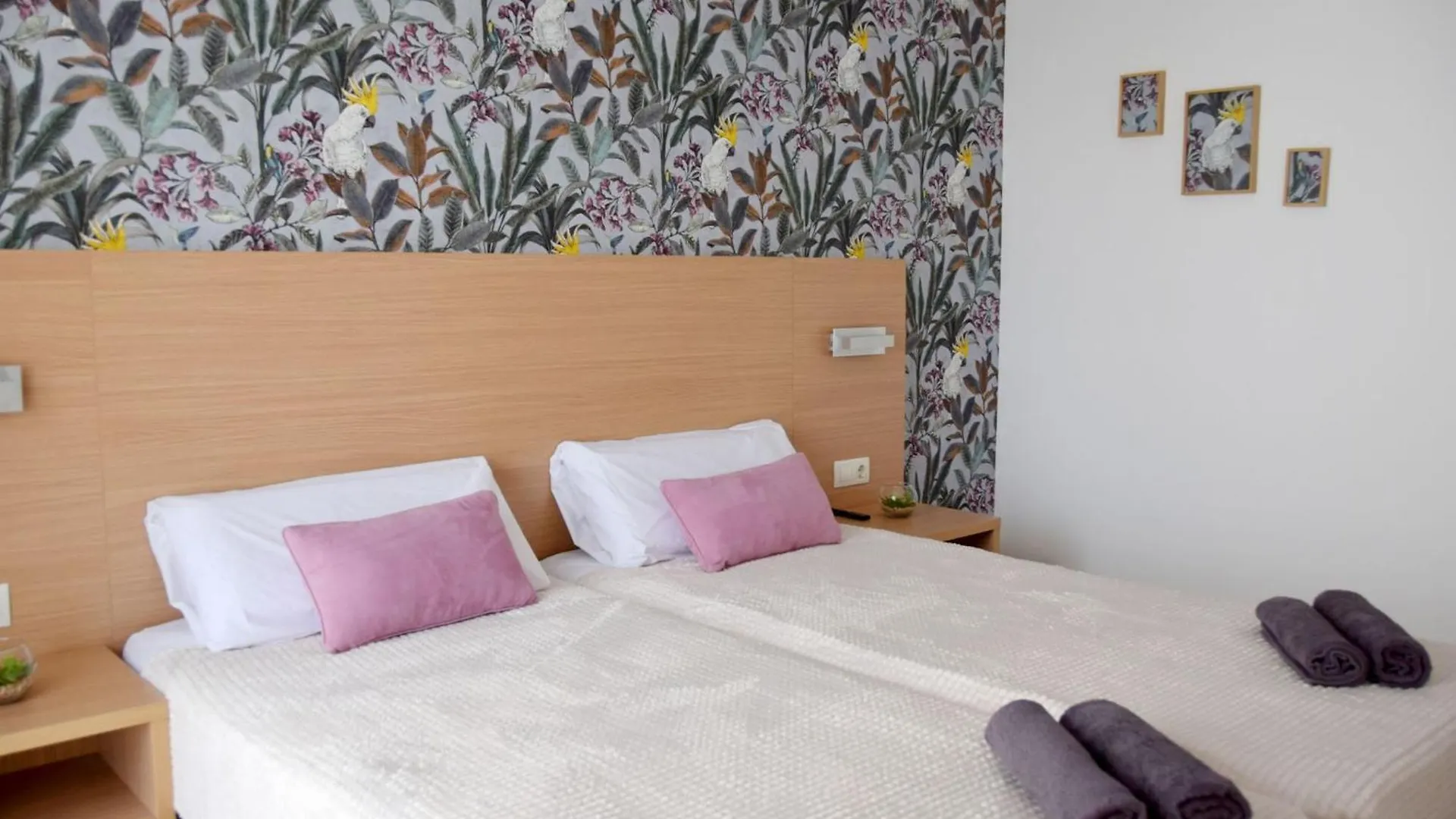 Apartment Design Equipped Lloret de Mar 0*,  Spain